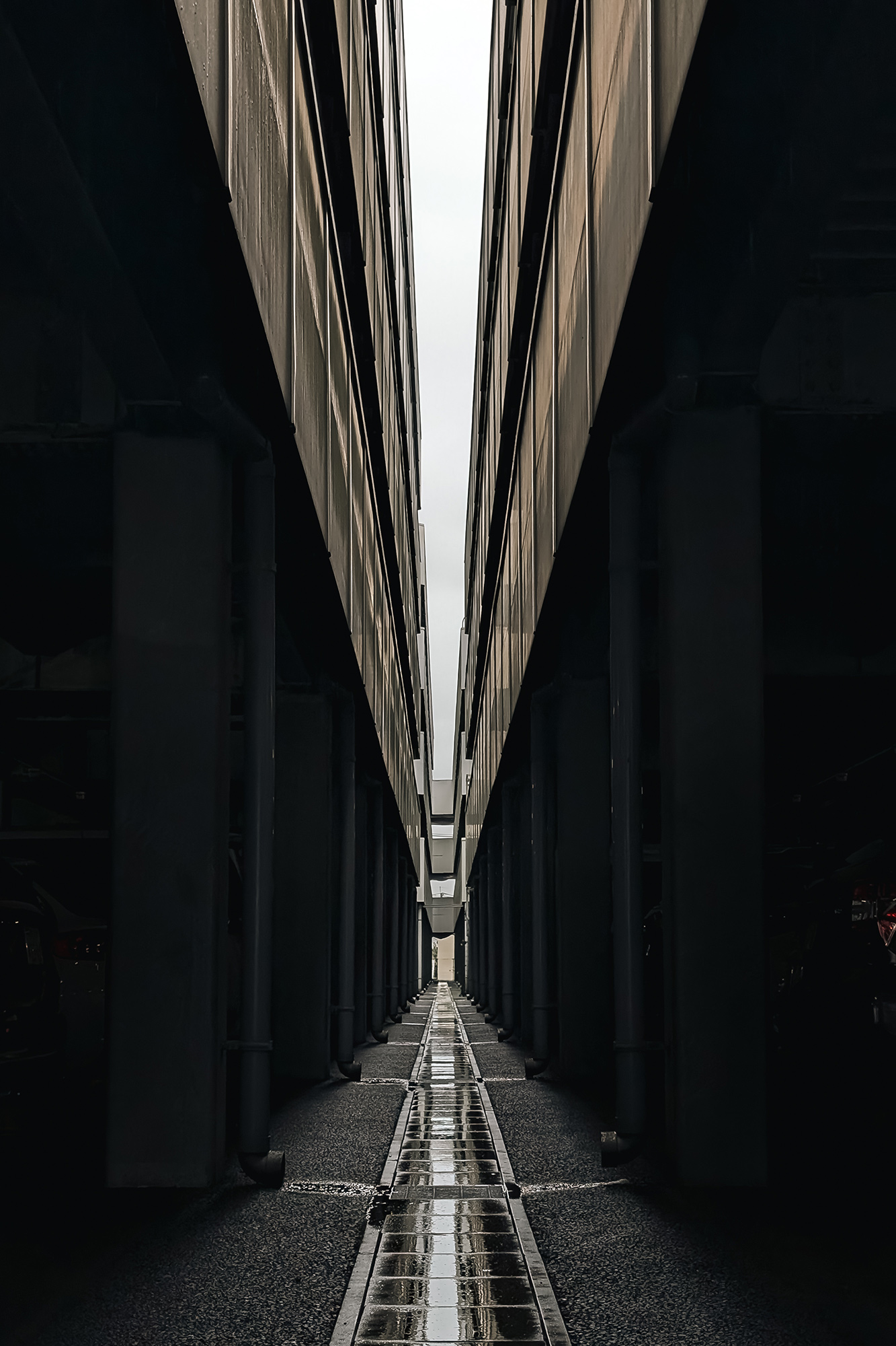 Lines and Divisions 2